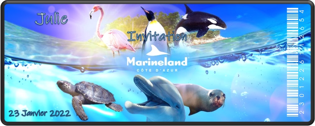 Billet Surprise - Marineland