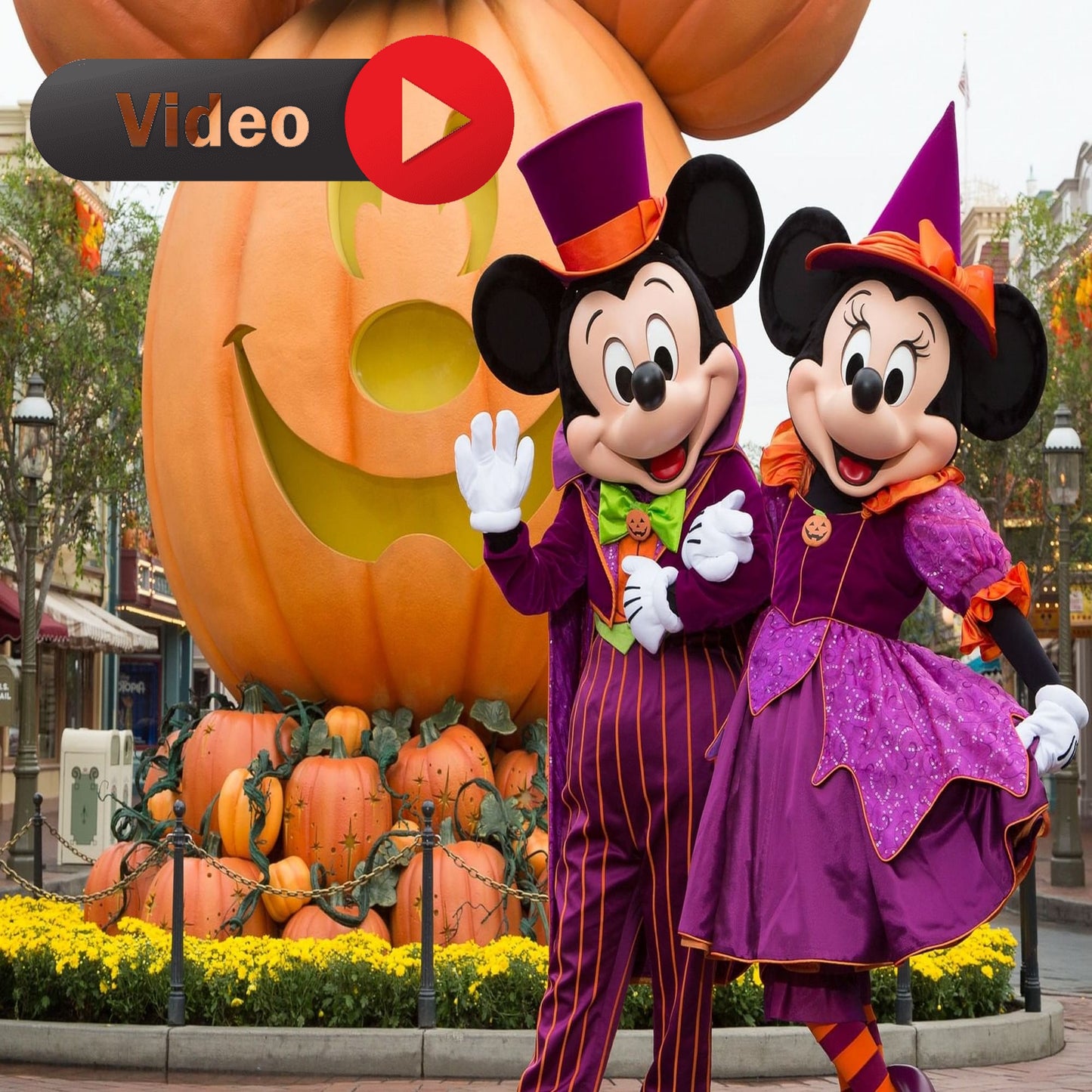 Vidéo Surprise - Disneyland Paris (Halloween)