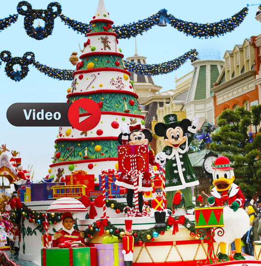 Vidéo Surprise - Disneyland Paris (Noël)