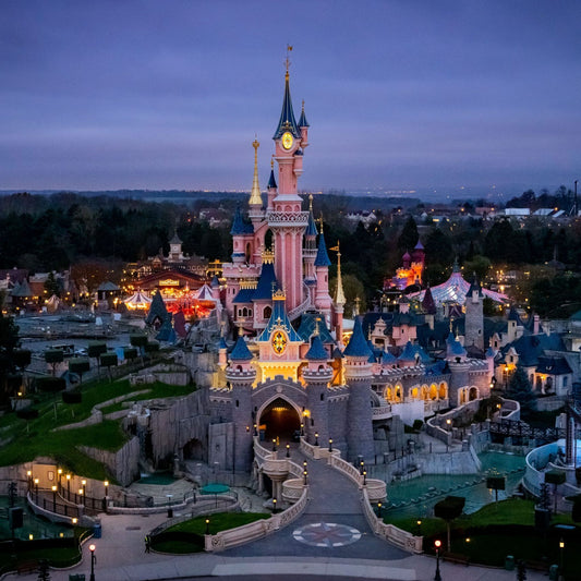Vidéo Surprise Disneyland Classique Ciné-Store