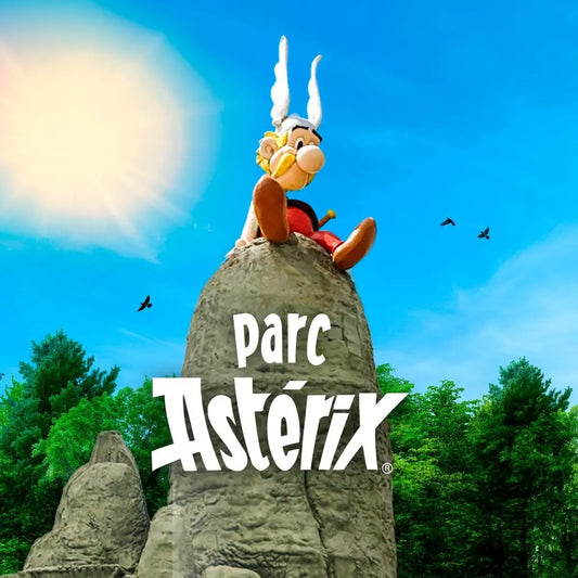 Vidéo surprise personnalisée Parc Astérix Classique
